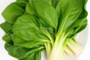 春菜怎么做好吃：春季美食攻略