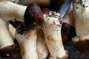 红烧大虾的做法家常：在家轻松做出餐厅级美味