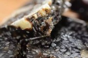 苏州特色美食外卖推荐：一键解锁江南美味
