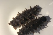 湖州的特色美食：一场舌尖上的盛宴