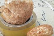 豌豆炒虾仁的家常做法：简单易学的美味佳肴
