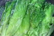 炒干茶树菇的家常做法