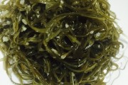 好好吃早餐 - 健康生活的开始