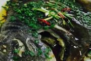 红烧海参的家常做法：轻松入门的海味佳肴