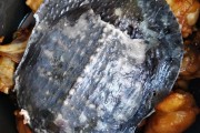腾冲小吃一条街在哪：探寻美食的绝佳去处