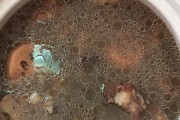草鱼家常做法：简单美味，家的味道