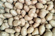 维吾尔族小吃：探索新疆美食的独特魅力
