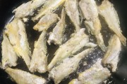 莲藕怎样做好吃：解锁莲藕的无限魅力