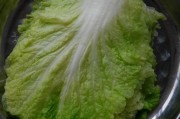 扬州特色美食有哪些：一场味蕾的盛宴