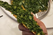 zg特色美食：一场味蕾的盛宴