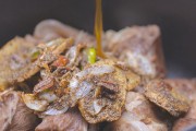 惠州特色美食攻略：品味岭南美食的独特魅力