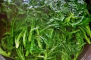 杜尔伯特特色美食：探寻草原美食的独特魅力
