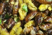 定西市特色美食：探寻美食密码，品味地方风味