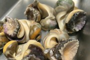 标题：《荠菜饺子怎么做好吃——传统美食的现代演绎》