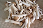 中关村小吃街：美食的奇幻之旅