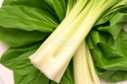 家常顺德菜：传统风味与现代口感的完美融合