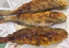 特色美食菜谱大全：解锁美食密码，开启味蕾之旅