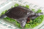四川的特色美食有哪些？探寻川味美食的魅力