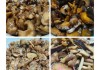 卷饼小吃培训：掌握精髓，成为街头美食达人