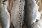 豆角怎样炒好吃 - 美食博主分享独门秘籍