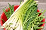 牛肉怎样煮好吃：掌握这些技巧，让牛肉鲜嫩多汁