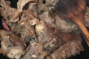 红烧鸡翅的做法家常——掌握这道经典菜肴的秘诀