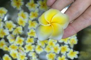 师大夜市小吃：舌尖上的青春记忆
