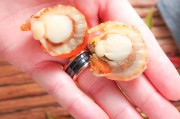 素家常面：简单食材中的美味秘诀