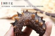 鹤壁市特色美食：舌尖上的美味探寻