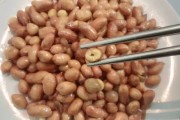 玉米咋做好吃：解锁玉米的美味新境界