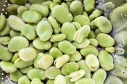 天津特色美食八珍豆腐：传统与创新的完美融合