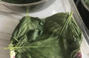 晚上最好吃什么：晚餐美食指南