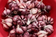 肉和鸡蛋怎么做好吃：创意食谱大揭秘