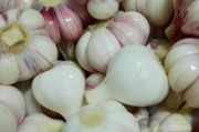 湖南特色美食介绍：探寻湘韵美馔
