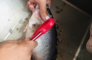 猪肉和什么包馄饨好吃？揭秘最佳搭配