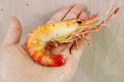 牛霖怎么做好吃：解锁肉质的秘密