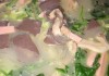 湖北特色美食介绍
