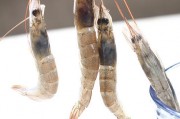 怎样煮虾好吃：掌握这些技巧，鲜美无比！