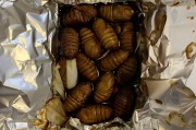 汕尾海陆丰特色美食：探寻美食背后的故事与魅力