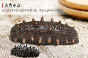 云南师宗特色美食：探寻美味背后的故事与传说