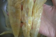 大连小吃街：舌尖上的风情之旅