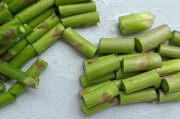 哪里有卖小吃车？探寻最佳购买地点