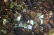 太白县特色美食：舌尖上的风情之旅