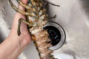 马面鱼怎么做好吃：解锁海洋美味新境界