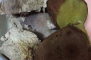 广安小吃街：探寻地道美食的绝佳去处