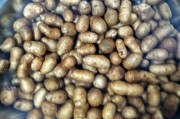 鸭子炖汤怎么做好吃 - 美食博主分享独门秘籍