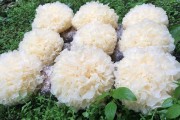 北海特色美食攻略：探寻美食名店的独特风味