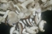 日照小吃一条街:美食探秘之旅 日照小吃一条街:美食探秘之旅