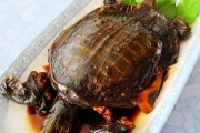 重庆石柱黄水特色美食：舌尖上的风情