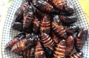 怎么制作小吃：一份家常美食的制作指南